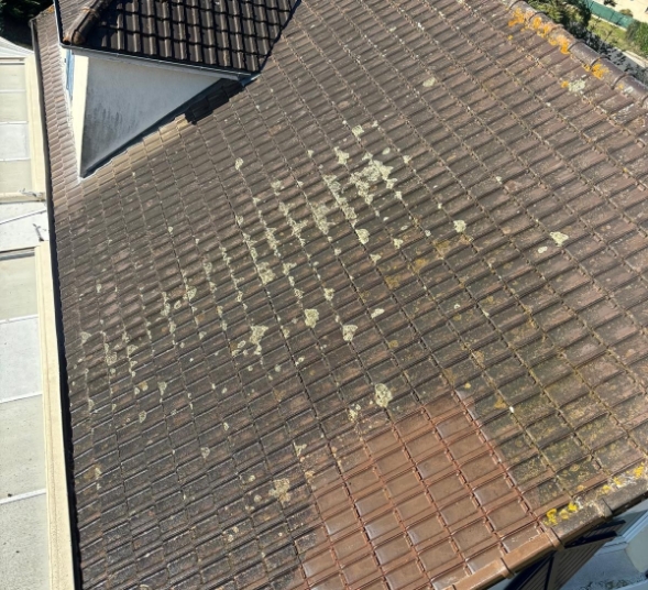 nettoyage démoussage toiture